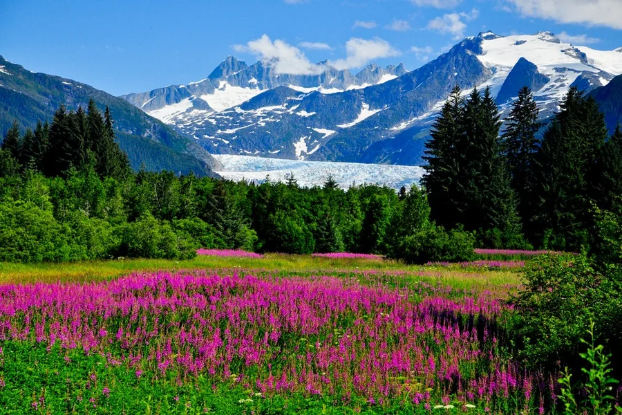 Alaska 10 Day Itinerary