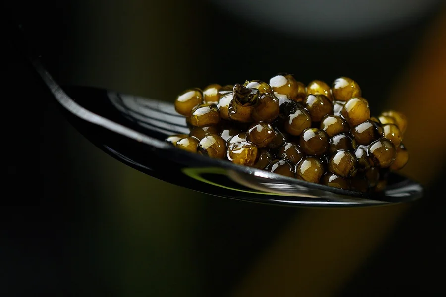 What Really Makes Osietra Caviar Special