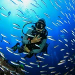 Experience the Best of Hawaii with Maui Scuba Diving Adventures