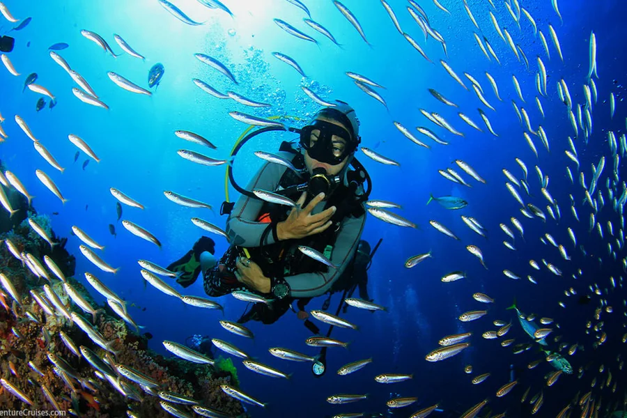 Scuba Diving
