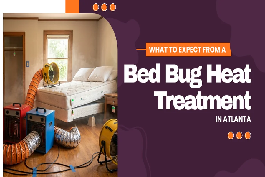 What to Expect from a Bed Bug Heat Treatment in Atlanta