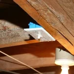 How Can High Crawl Space Humidity Damage Floor Joists and Subfloors?